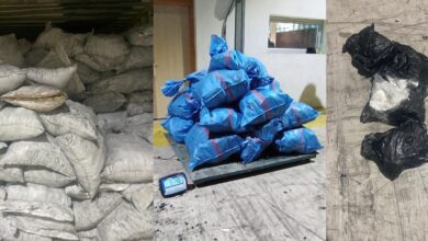 IMG20250507WA0029 | اصداء الجهة