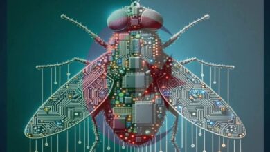 Screenshot20251012174508Facebook | اصداء الجهة