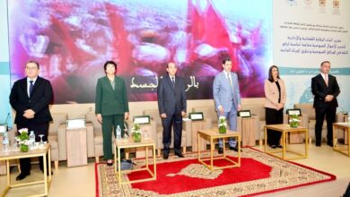 Screenshot20251022163004WhatsApp | اصداء الجهة