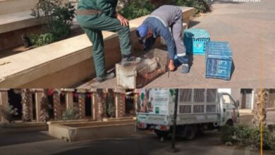 Screenshot20251103215612Facebook | اصداء الجهة