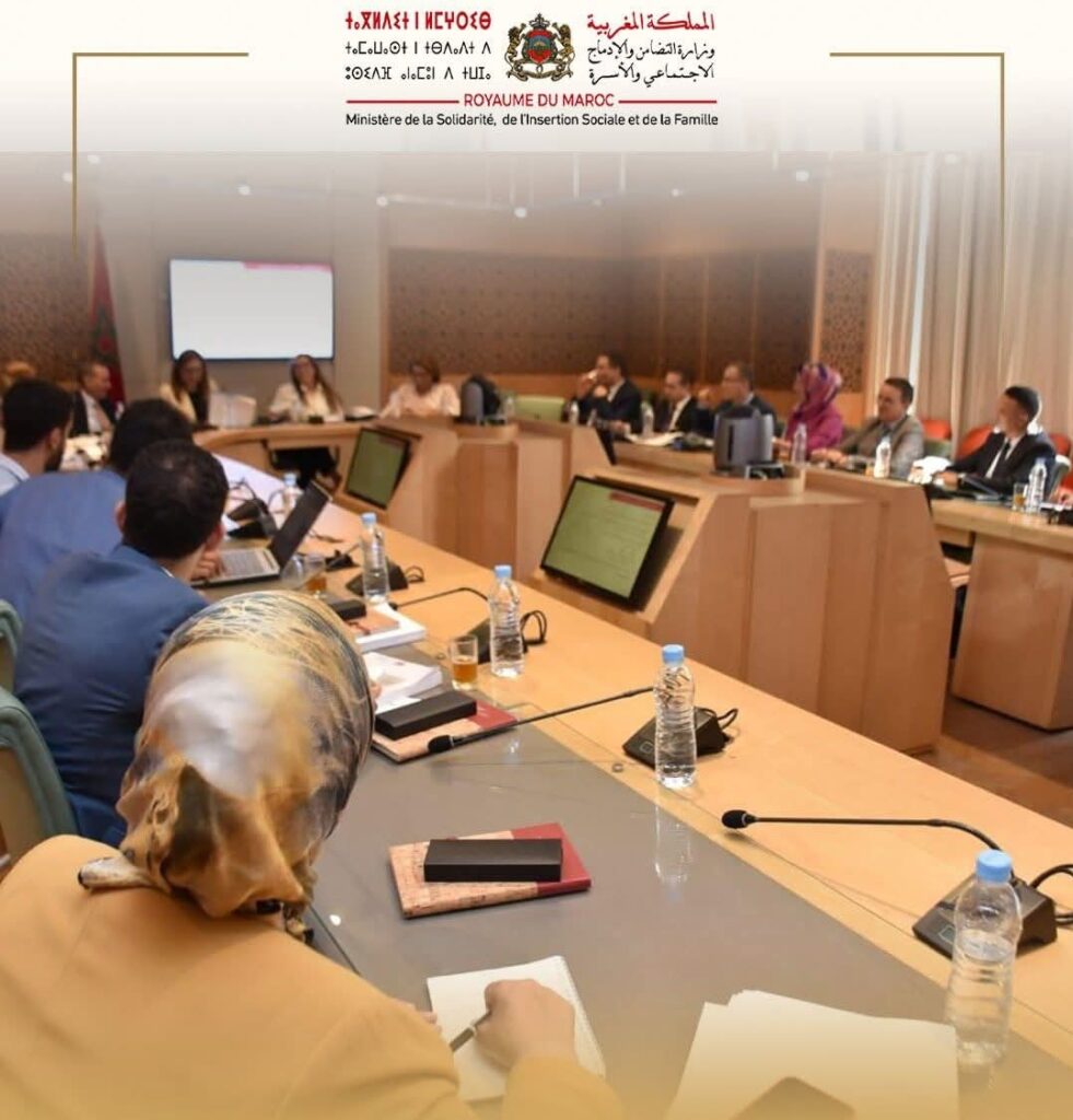 1000211545 | اصداء الجهة