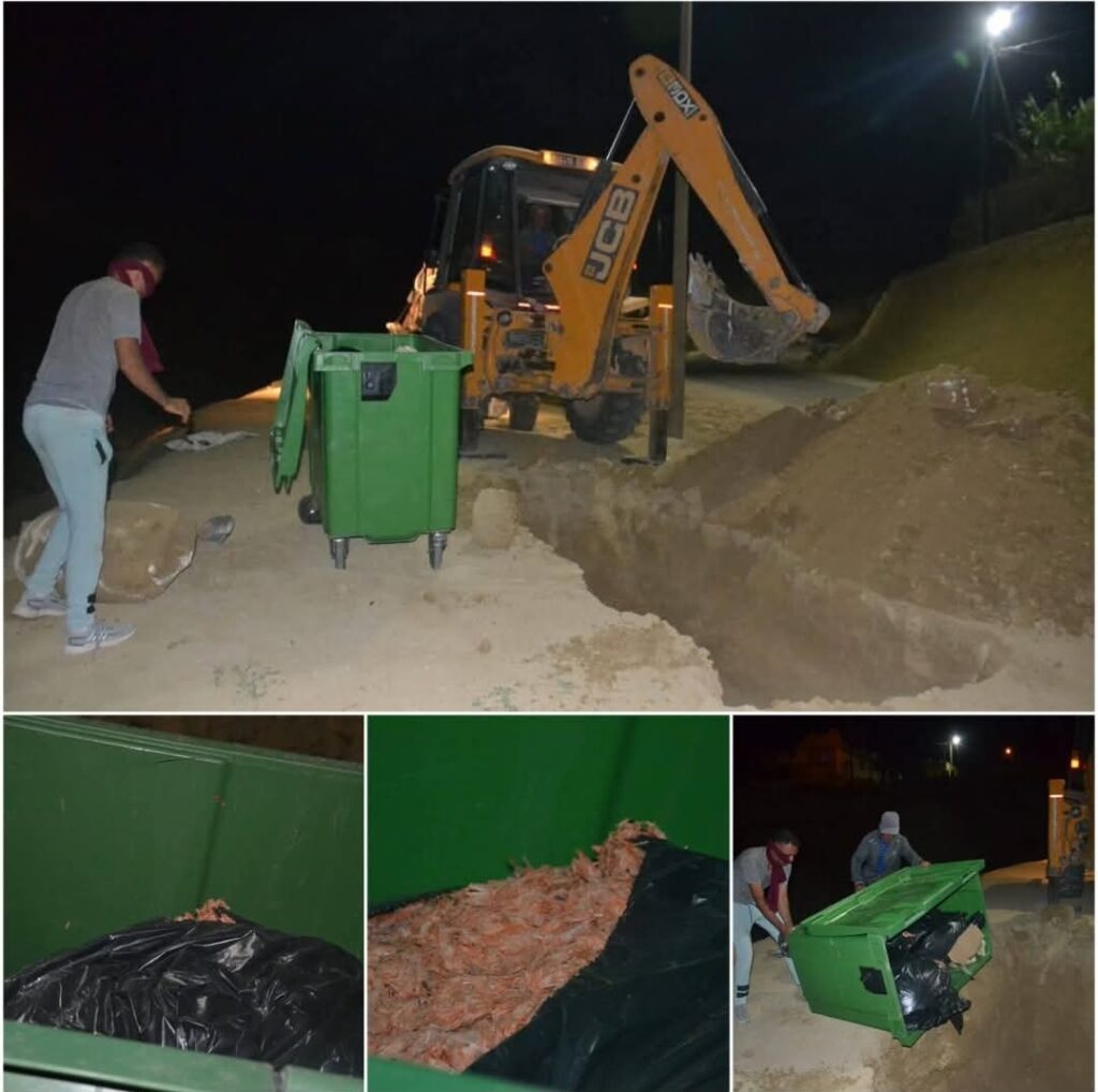 1000214867 | اصداء الجهة