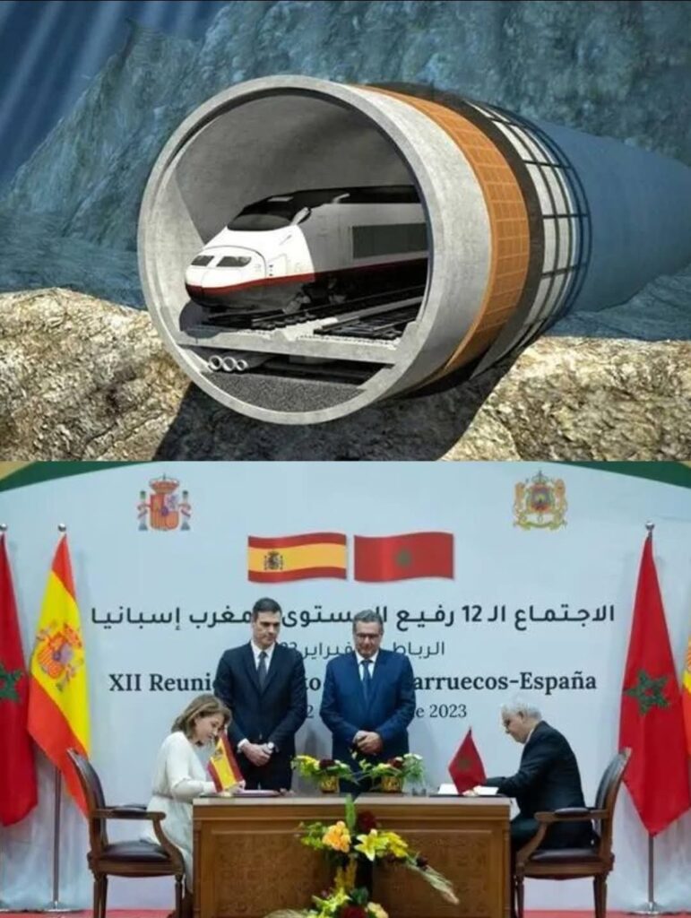 1000223764 | اصداء الجهة