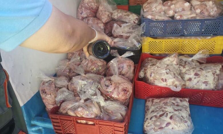 poulet1 | اصداء الجهة