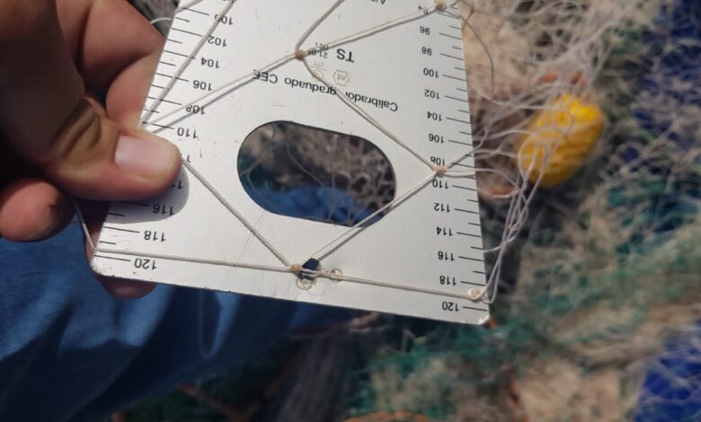 IMG20221014WA00491 | اصداء الجهة