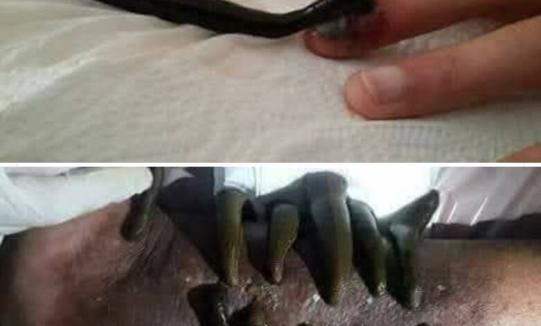Screenshot20250612215030Facebook | اصداء الجهة