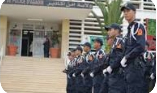 1000215611 | اصداء الجهة