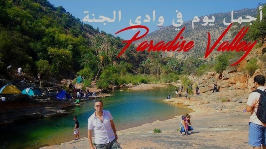 1000219674 | اصداء الجهة