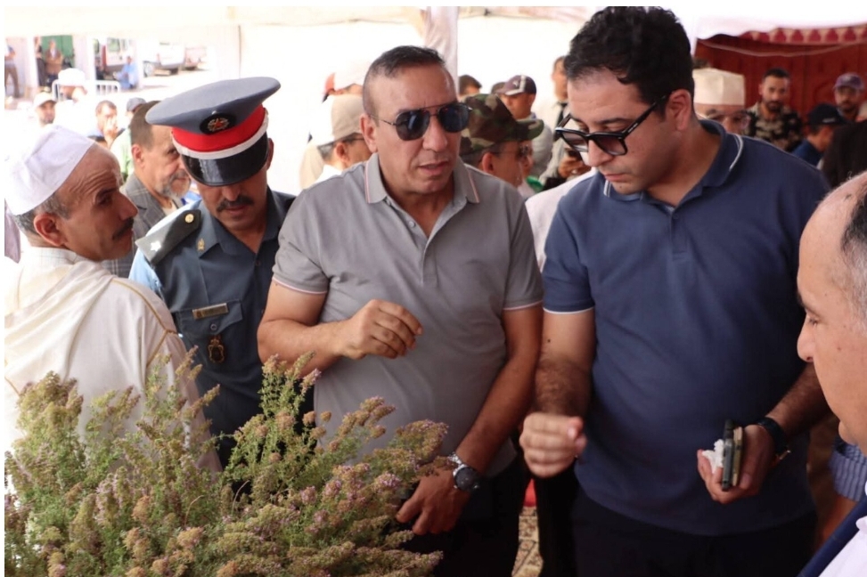 1000221936 | اصداء الجهة