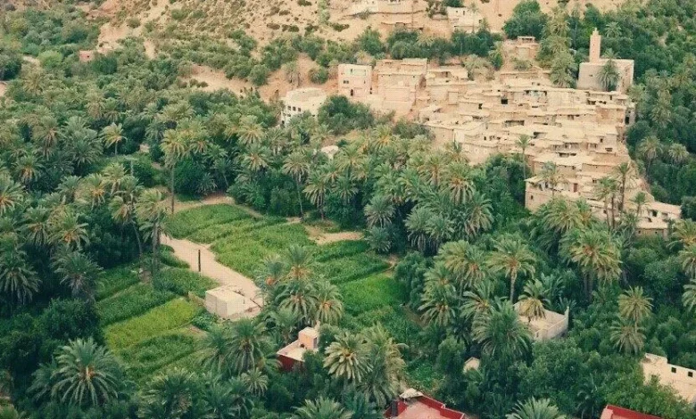أكاديرإداوتنان | اصداء الجهة