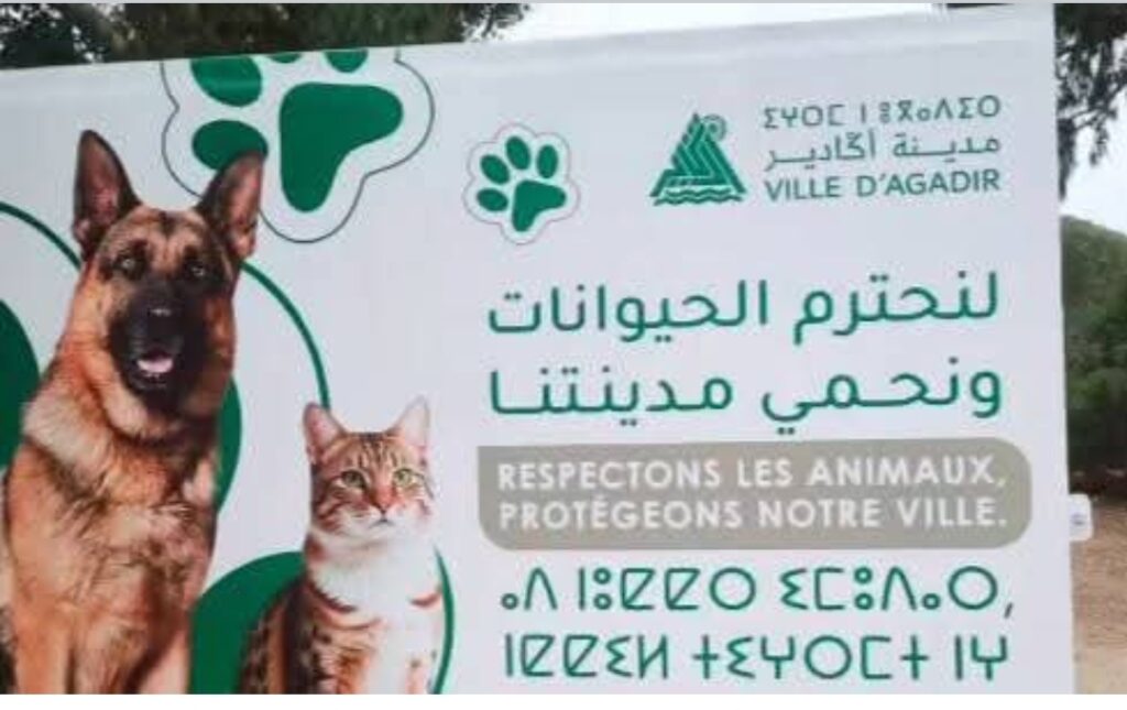 1000252788 | اصداء الجهة