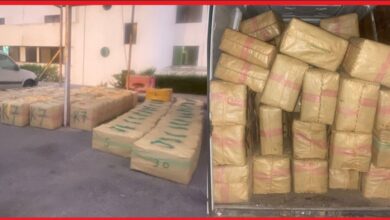 Screenshot20251002141620WhatsApp | اصداء الجهة