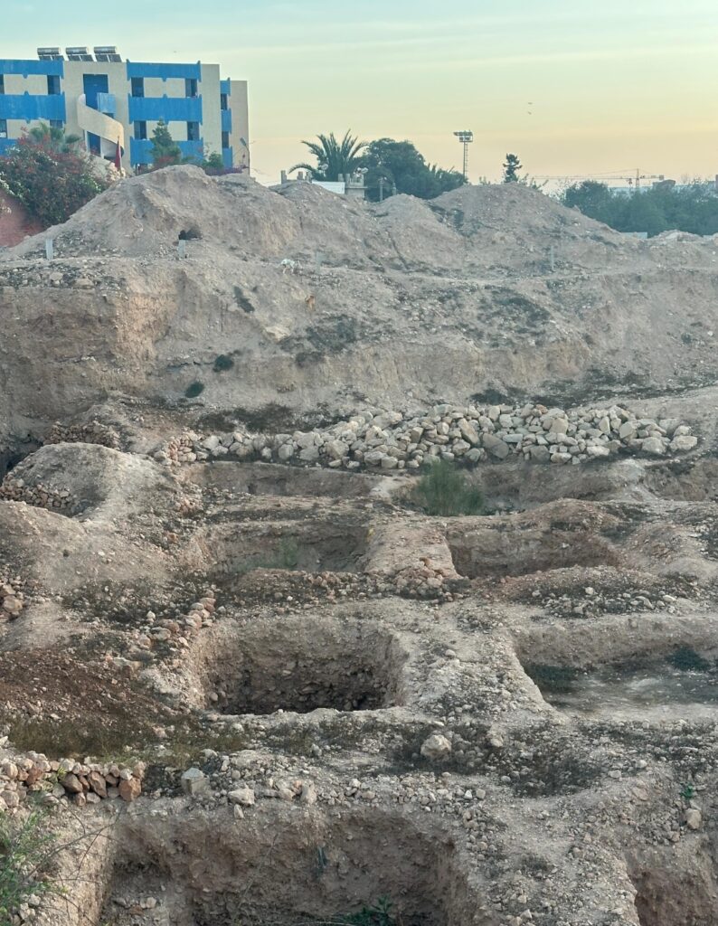 1000266824 | اصداء الجهة