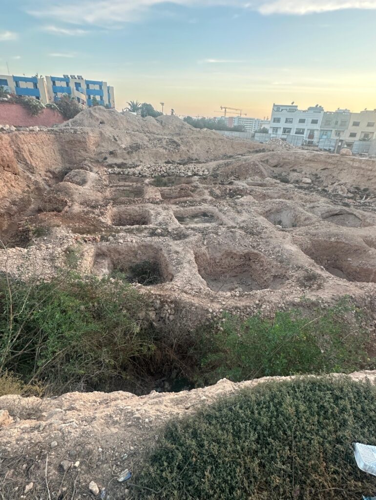 1000266826 | اصداء الجهة